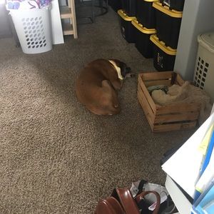 Meet your Posher, Leah